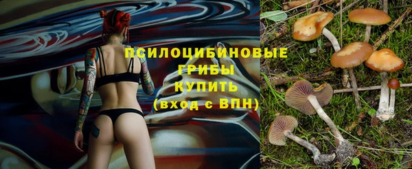 шишки Баксан
