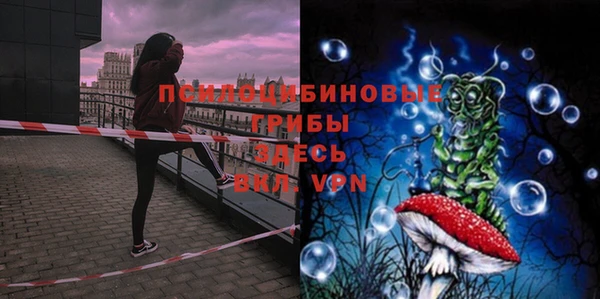 шишки Баксан