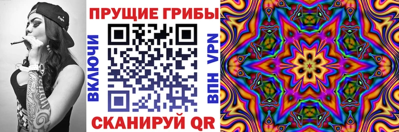 Псилоцибиновые грибы GOLDEN TEACHER  Новый Оскол 